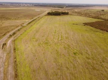 Campo , Los Charrúas · 81 Has Campo Agrícola Ganadero en Venta en Los Charruas, Er
