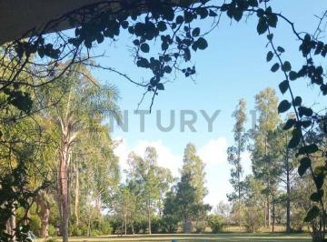 Terreno · 36750m² · Fraccion de 3,7 Ha con Arboleda y Arroyo