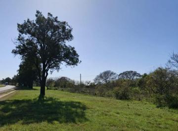 Terreno , Helvecia · Terrenos Sobre Ruta en Campo Al Medio – Santa Fe