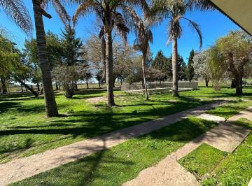 Casa de 3 ambientes, Merlo · Chacra 1,8 Ha | Casa 2 Dorm. | Pileta y Parrilla | Pontevedra