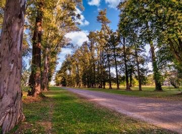 Terreno , General Rodríguez · Terrenos de 1000 m² en Venta en Tres Pinos Villa de Campo