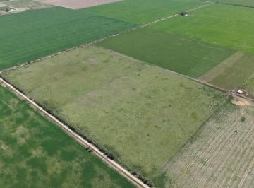 Campo · 47ha · Campo de 47 Has en Egusquiza
