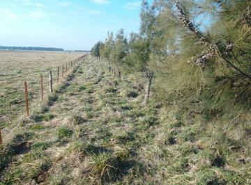 Campo , San Vicente · Campo en Venta - Entre Ruta Provincial 6 y 16