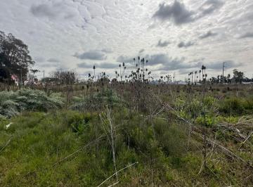 Terreno · 315m² · Lote Venta San Carlos Ideal Desarrollador