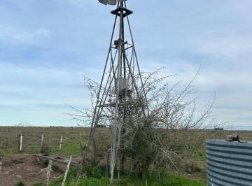 Campo · 130m² · 1 Ambiente · Campo Ganadero de 130 Ha en Alvarez Jonte, Punta Indio