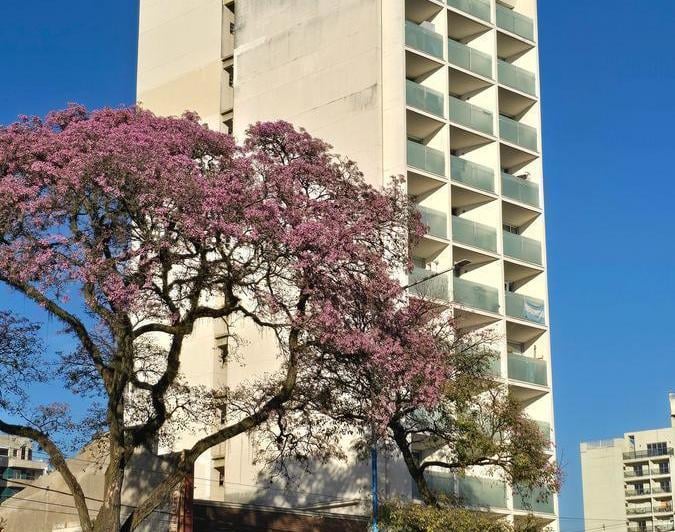 Departamento · 24m² · 1 Ambiente