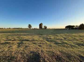 Campo · 3ha · Chacra en Winifreda
