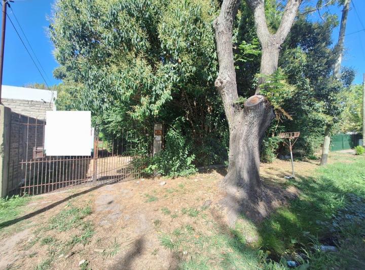 Casa · 1300m² · 3 Ambientes · 3 Cocheras