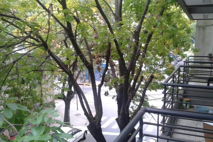 Departamento · 33m² · 1 Ambiente