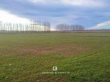 Terreno · 224ha · Extenso Campo 224 Has en Añelo
