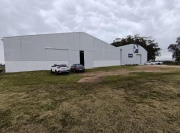 Bodega-Galpón · 1500m² · Deposito Logistico 1500 m Ruta 101
