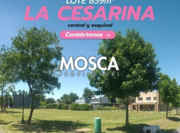Terreno · 859m² · Financio Vendo Terreno - La Cesarina General Rodriguez
