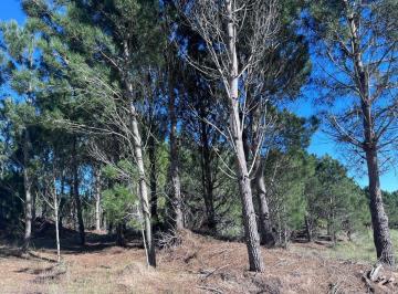 Terreno · 1086m² · Venta Lote Northbeach