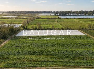 Campo · 580000m² · Venta de Campo en Pilar