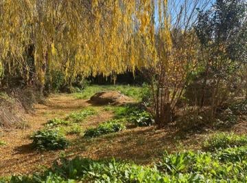 Terreno , Capilla del Monte · Saavedra 155 - Lote Cerca del Entro y Excelente Vegetación