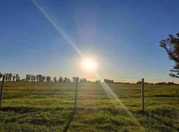 Terreno · 1000m² · Venta Terreno Tres Pinos Barrio Norte
