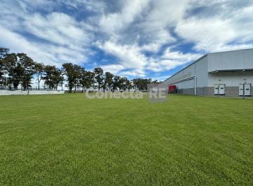 Depósito · 8000m² · Terreno Industrial 8.000 m² en Venta – Polo Industrial Ezeiza