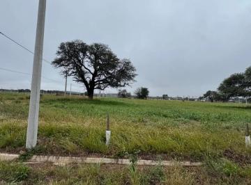 Terreno , Jesús María · Terreno en Solares del Camino Real Sinsacate