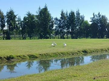 Terreno · 1000m² · Lote Venta Haras del Sur III Vista Al Golf 1000 m