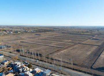 Terreno · 375m² · Gran Alameda, Desarrollo Inmobiliario, Cipolletti