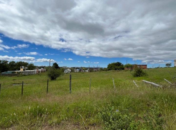 Terreno · 1567m²