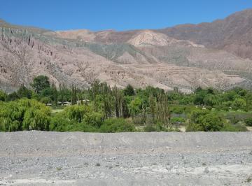 Terreno en Venta   · Purmamarca Fincas y Terrenos