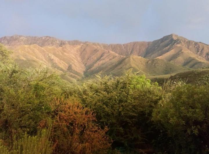Terreno · 10000m²