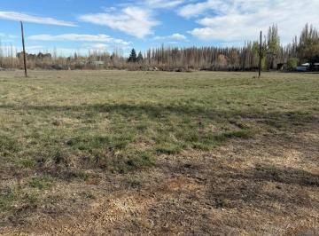 Terreno · 20000m² · Terreno en Plottier