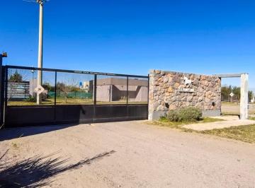 Terreno , Juárez Celman · Ruta E53 B° La Pampeana