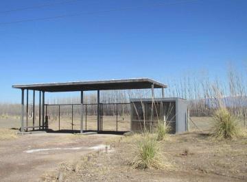 Terreno · 1000m² · Venta Terreno 1000 m² en San Carlos Valle de Uco