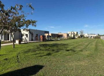 Terreno · 488m² · Venta Lote Santa Emilia Pilar del Este