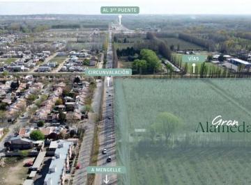 Terreno · 400m² · Venta Terreno Loteo Gran Alameda Cipolletti