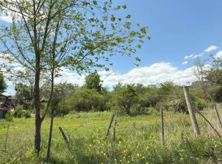 Terreno · 2250m²