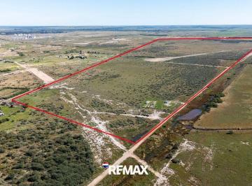 Terreno · 290700m² · 30 Ha en Gral Daniel Cerri - Villa Olga