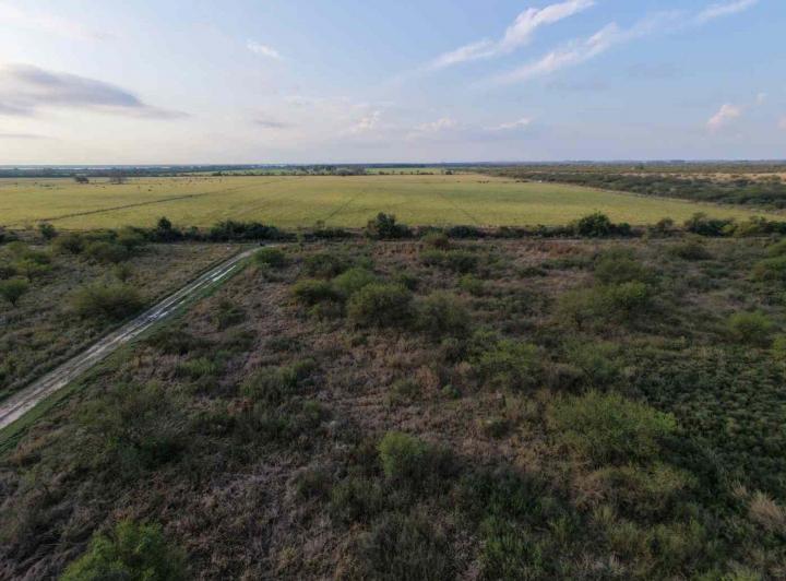 Terreno · 30000m²
