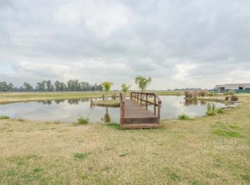 Terreno · 700m² · Lote en Venta Haras Andrea Virginia Plomer. Gral. Las Heras Financia