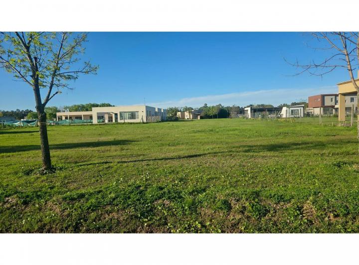Terreno · 1000m²