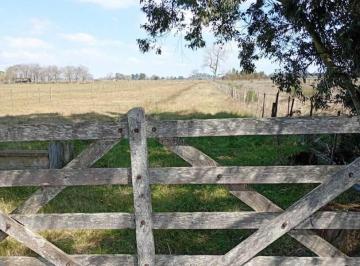 Campo · 2m² · Hectáreas en Venta Sobre Ruta 11