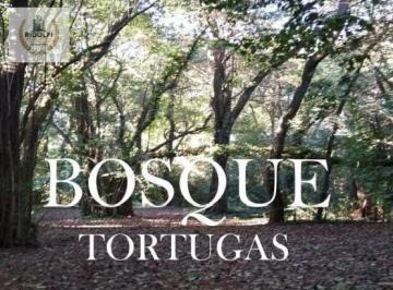 Departamento · 83m² · 3 Ambientes · 1 Cochera · Departamento Venta Bosque Tortugas 3 Ambientes Pozo Financiación