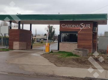Casa · 350m² · 8 Ambientes · 4 Cocheras · Venta Casa Barrio Los Cadenales - 5 Domitorios