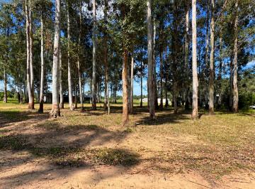 Terreno , Colón · Terreno en Venta en Colón