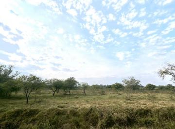 Terreno · 10001m² · En Venta Ha en Helvecia