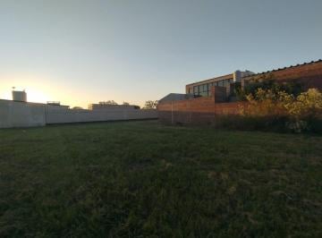 Terreno · 200m² · Terreno de 200 m² en Ingreso a Angel Gallardo