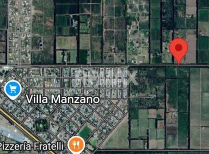 Campo · 8ha