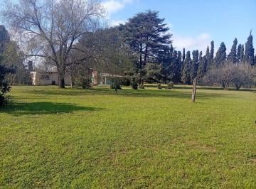 Casa · 320m² · 8 Ambientes · 2 Cocheras · Venta Casa Quinta 11.160 m V. Esquiu Oportunidad