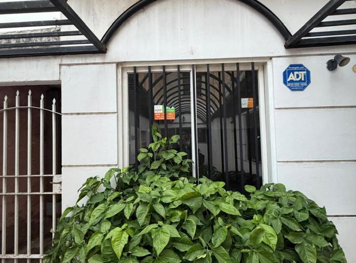 Local comercial · 274m²