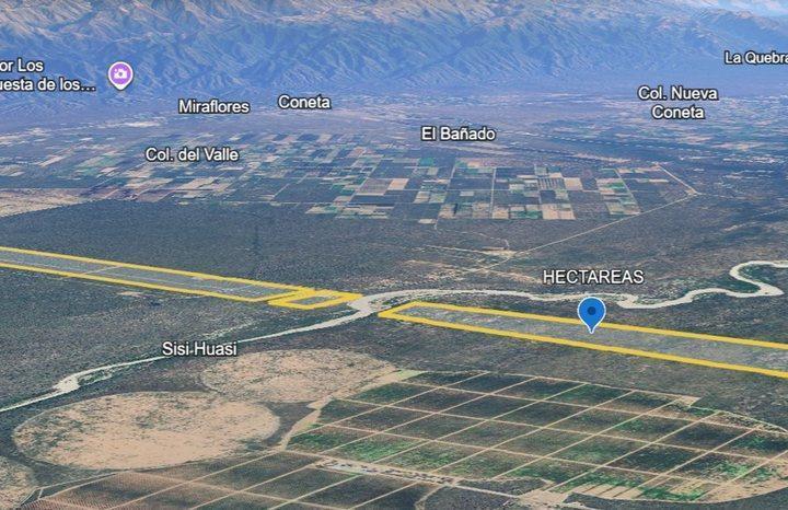 Campo · 296ha