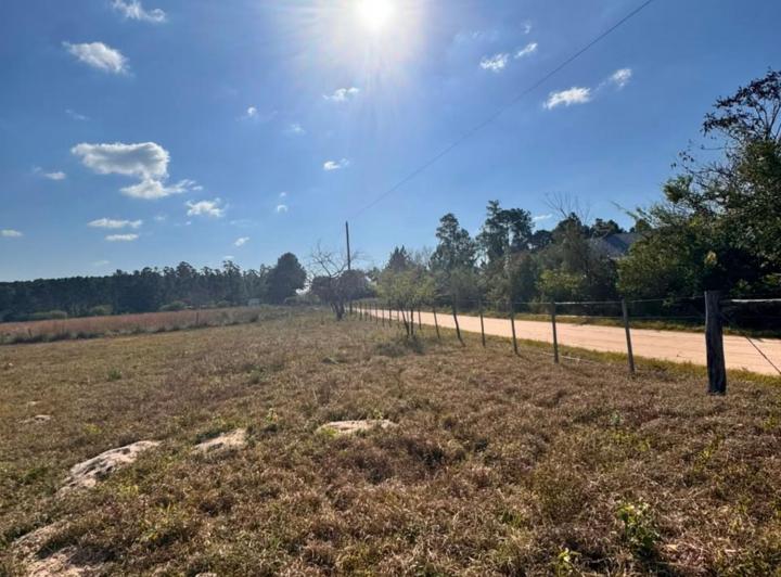 Terreno · 1000m²