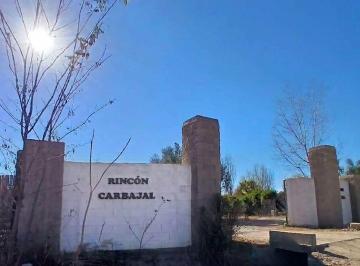 Terreno · 900m² · Lote en Venta. La Colonia. Junín