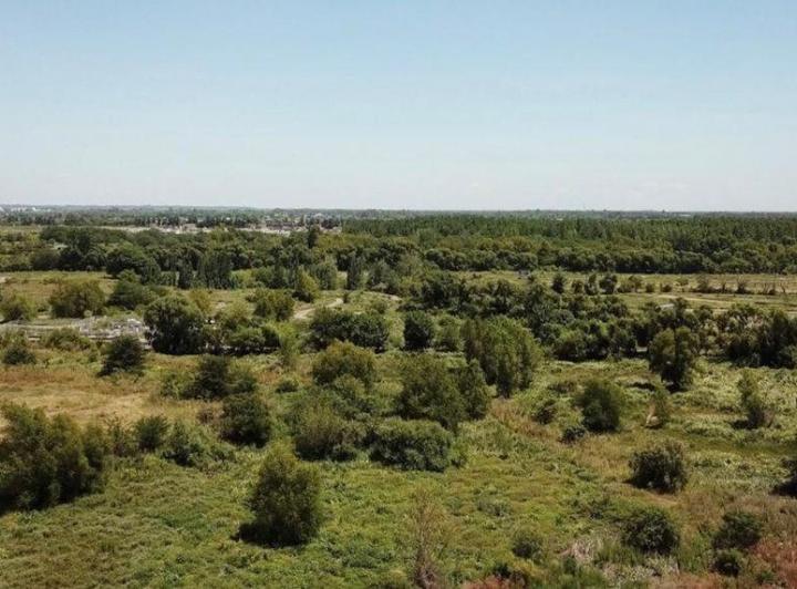 Terreno · 482m²